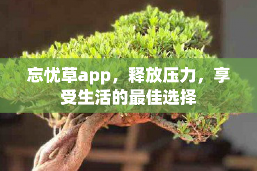 忘忧草app，释放压力，享受生活的最佳选择