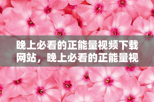 晚上必看的正能量视频下载网站，晚上必看的正能量视频，传递温暖与力量，点亮人生之夜