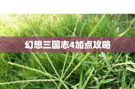 幻想三国志4加点攻略