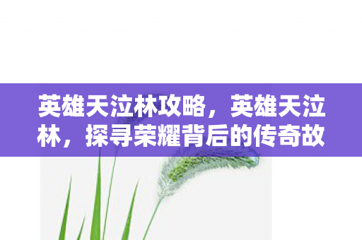 英雄天泣林攻略，英雄天泣林，探寻荣耀背后的传奇故事