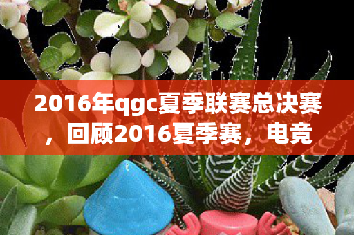 2016年qgc夏季联赛总决赛，回顾2016夏季赛，电竞热血燃烧的时刻