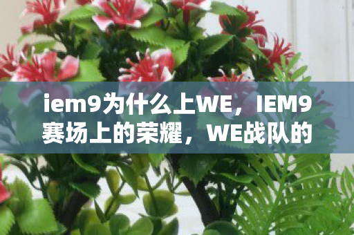 iem9为什么上WE，IEM9赛场上的荣耀，WE战队的胜利之路
