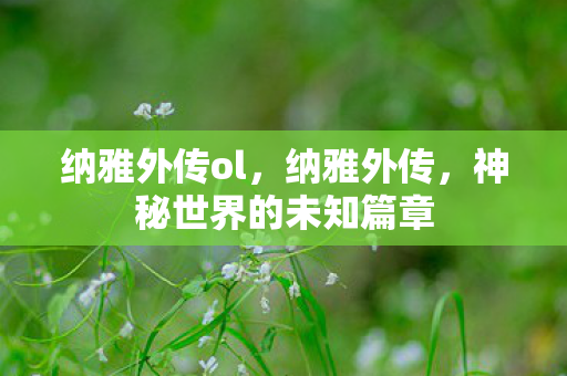 纳雅外传ol，纳雅外传，神秘世界的未知篇章