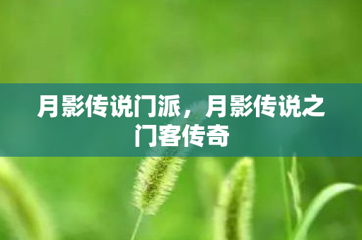 月影传说门派，月影传说之门客传奇