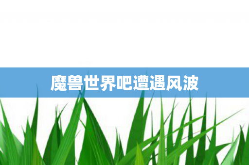 魔兽世界吧遭遇风波