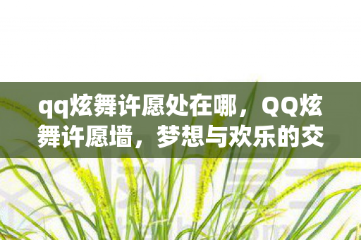 qq炫舞许愿处在哪，QQ炫舞许愿墙，梦想与欢乐的交汇之地