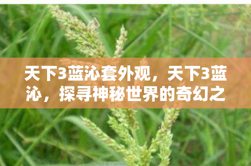天下3蓝沁套外观，天下3蓝沁，探寻神秘世界的奇幻之旅