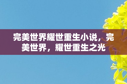 完美世界耀世重生小说，完美世界，耀世重生之光