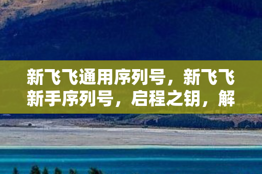 新飞飞通用序列号，新飞飞新手序列号，启程之钥，解锁专属福利
