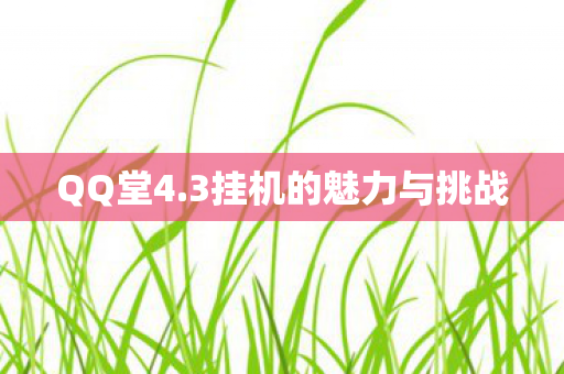QQ堂4.3挂机的魅力与挑战