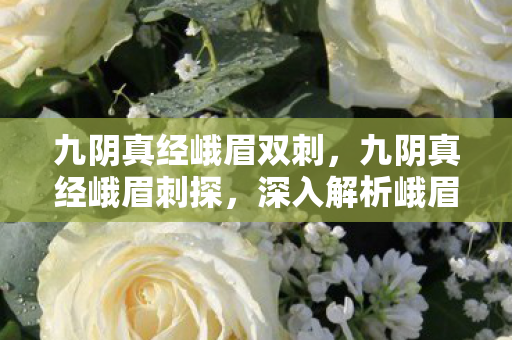 九阴真经峨眉双刺，九阴真经峨眉刺探，深入解析峨眉武术之精髓