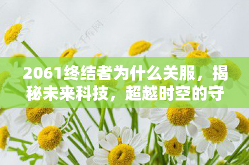 2061终结者为什么关服，揭秘未来科技，超越时空的守护者—终结者T-X 2061年科技展望