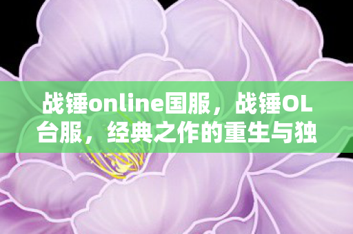 战锤online国服，战锤OL台服，经典之作的重生与独特魅力