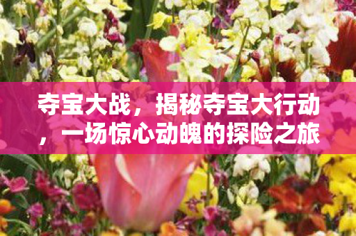夺宝大战，揭秘夺宝大行动，一场惊心动魄的探险之旅