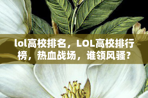 lol高校排名，LOL高校排行榜，热血战场，谁领风骚？
