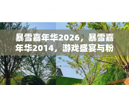 暴雪嘉年华2026，暴雪嘉年华2014，游戏盛宴与粉丝狂欢的盛宴