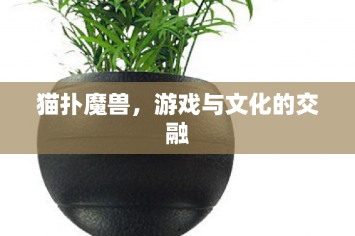猫扑魔兽，游戏与文化的交融