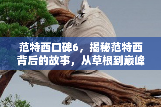 范特西口碑6，揭秘范特西背后的故事，从草根到巅峰的奋斗历程