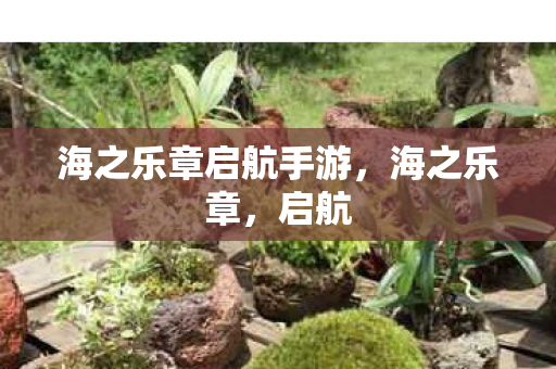 海之乐章启航手游，海之乐章，启航