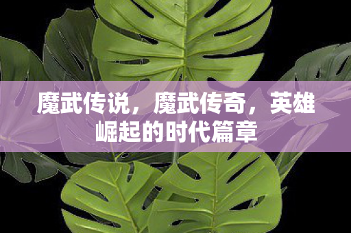 魔武传说，魔武传奇，英雄崛起的时代篇章