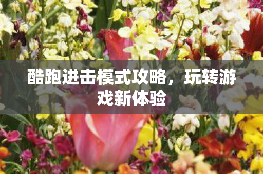 酷跑进击模式攻略，玩转游戏新体验