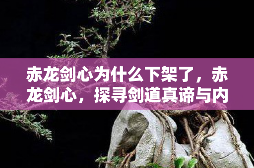 赤龙剑心为什么下架了，赤龙剑心，探寻剑道真谛与内心的共鸣