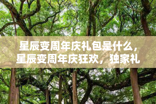 星辰变周年庆礼包是什么，星辰变周年庆狂欢，独家礼包大放送！