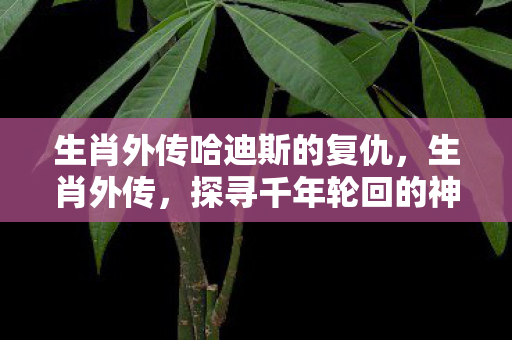 生肖外传哈迪斯的复仇，生肖外传，探寻千年轮回的神秘面纱