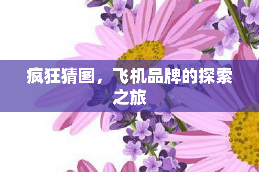 疯狂猜图，飞机品牌的探索之旅