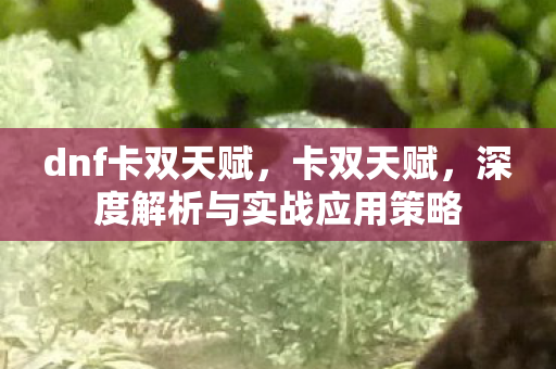 dnf卡双天赋，卡双天赋，深度解析与实战应用策略