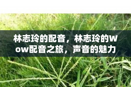 林志玲的配音，林志玲的Wow配音之旅，声音的魅力与情感的传递