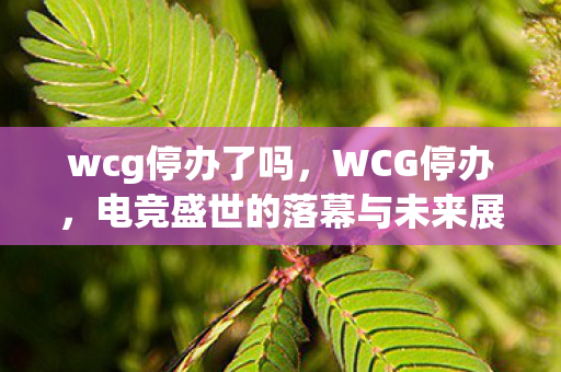 wcg停办了吗，WCG停办，电竞盛世的落幕与未来展望