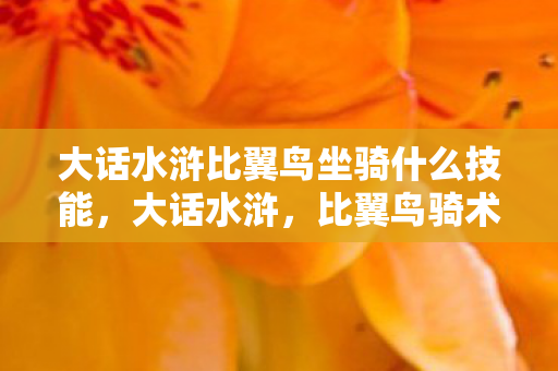 大话水浒比翼鸟坐骑什么技能，大话水浒，比翼鸟骑术的秘密探索