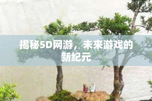 揭秘5D网游，未来游戏的新纪元