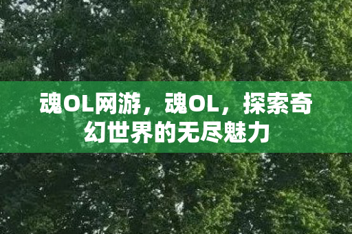 魂OL网游，魂OL，探索奇幻世界的无尽魅力