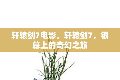 轩辕剑7电影，轩辕剑7，银幕上的奇幻之旅