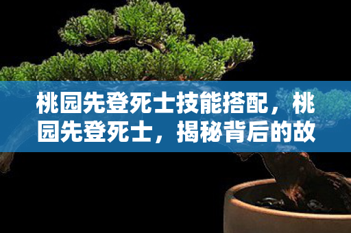 桃园先登死士技能搭配，桃园先登死士，揭秘背后的故事与信仰