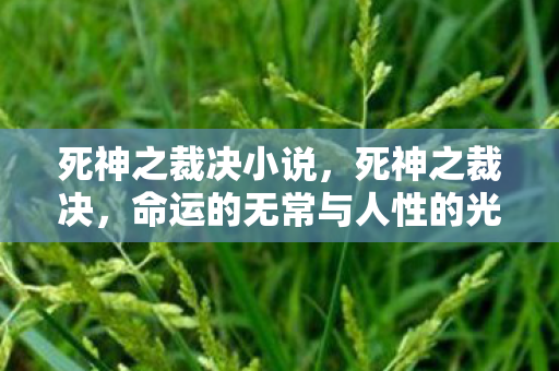死神之裁决小说，死神之裁决，命运的无常与人性的光辉