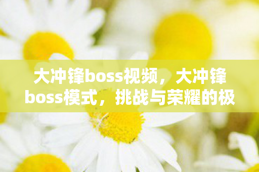 大冲锋boss视频，大冲锋boss模式，挑战与荣耀的极致体验