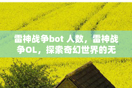雷神战争bot 人数，雷神战争OL，探索奇幻世界的无尽魅力