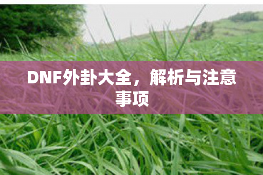 DNF外卦大全，解析与注意事项