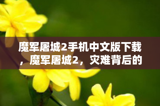 魔军屠城2手机中文版下载，魔军屠城2，灾难背后的真相与反思