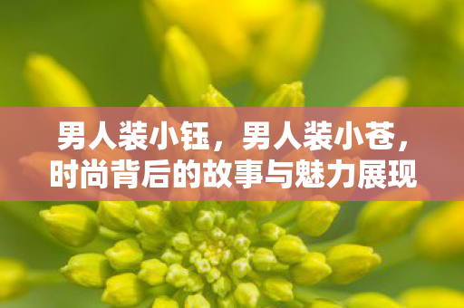 男人装小钰，男人装小苍，时尚背后的故事与魅力展现