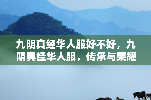 九阴真经华人服好不好，九阴真经华人服，传承与荣耀的武侠情怀