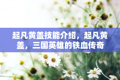 起凡黄盖技能介绍，起凡黄盖，三国英雄的铁血传奇