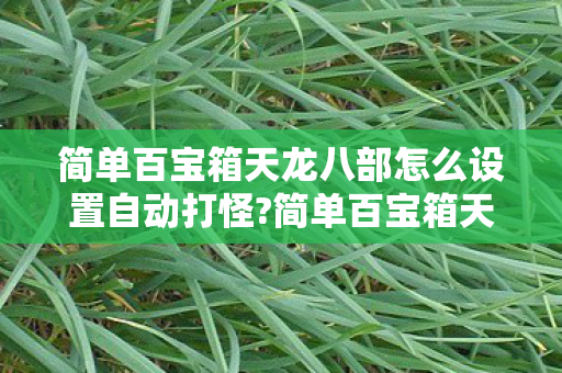 简单百宝箱天龙八部怎么设置自动打怪?简单百宝箱天龙八部3，游戏攻略与心得分享