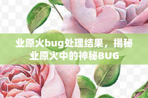 业原火bug处理结果，揭秘业原火中的神秘BUG