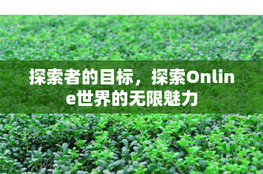 探索者的目标，探索Online世界的无限魅力