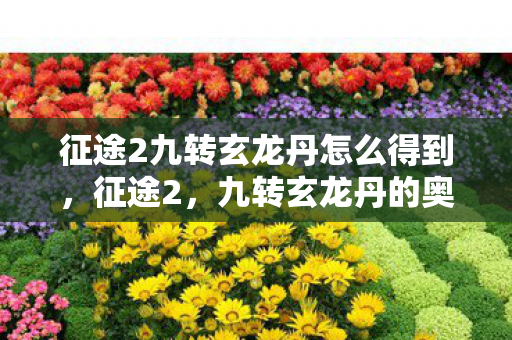 征途2九转玄龙丹怎么得到，征途2，九转玄龙丹的奥秘与传奇