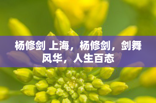 杨修剑 上海，杨修剑，剑舞风华，人生百态